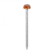 40x2.1 Polymer Headed Pin A4 Clay Brown (Head Diameter 6.2) Pack 250