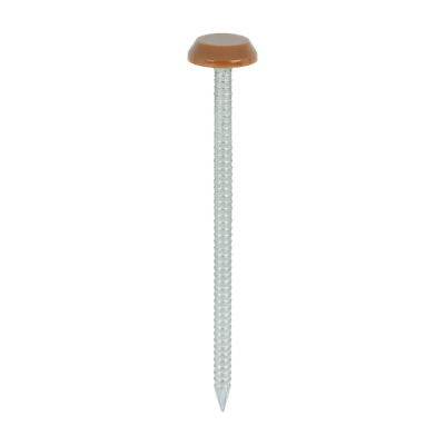 65x3.2 Polymer Headed Nail A4 (Head Diameter 12) Clay Brown Pack 100