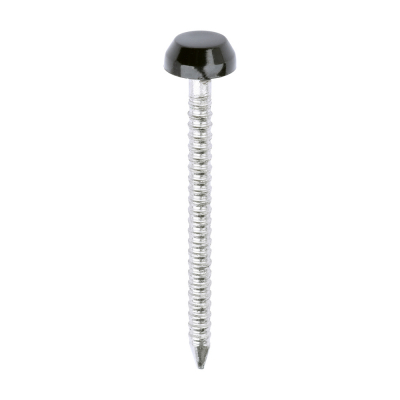 30x2.1 Polymer Headed Pin A4 Black (Head Diameter 6.2) Pack 250