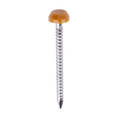 30x2.1 Polymer Headed Pin A4 Oak (Head Diameter 6.2) Pack 250