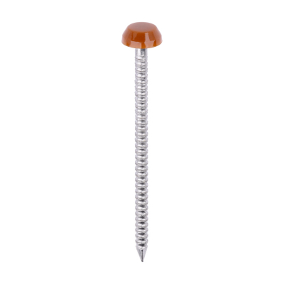 40x2.1 Polymer Headed Pin A4 Clay Brown (Head Diameter 6.2) Pack 250